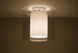 Pahu LED 12 inch Satin Nickel Semi-Flush Mount Ceiling Light in Transparent Smoke/Opal Glass