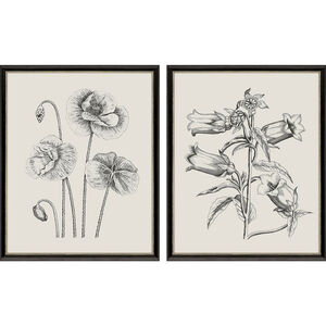 Garden Sketch Black and Beige and Neutral and White Framed Art