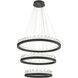 Randall Bronze Chandelier Ceiling Light