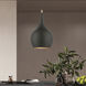 Andes 1 Light 8 inch Black with Antique Brass Accents Mini Pendant Ceiling Light