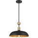 Biloxi 1 Light 17.75 inch Coal And Weathered Antique Brass Pendant Ceiling Light