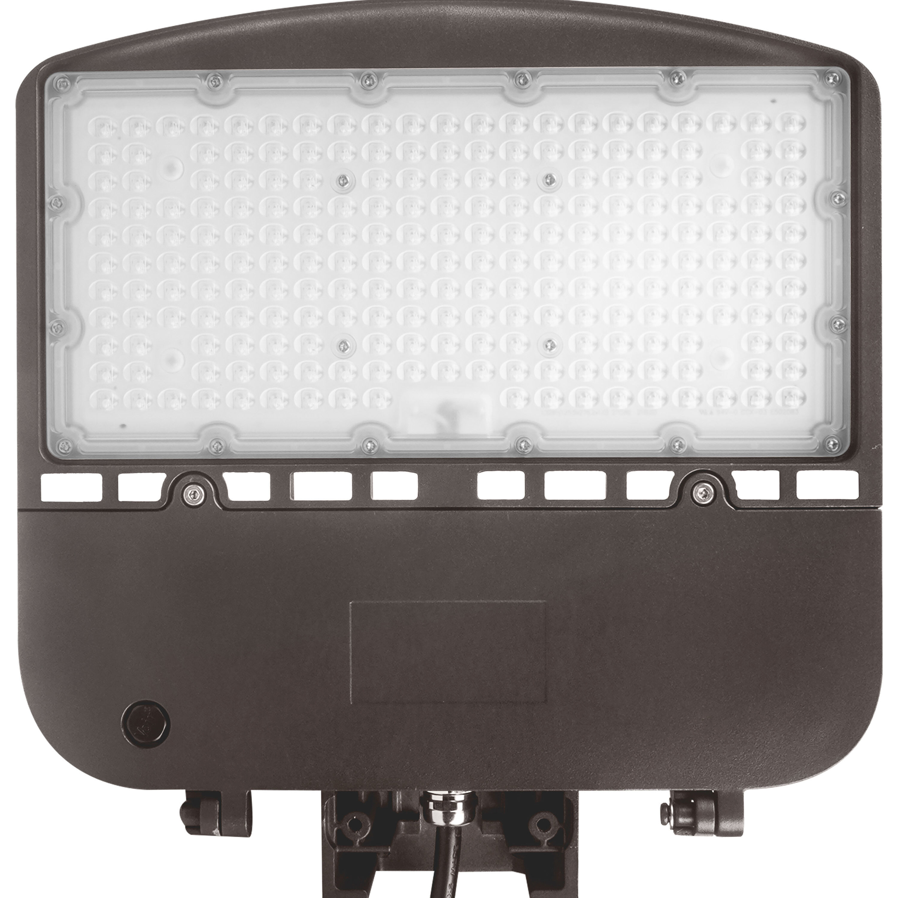 Brentwood Outdoor Area Light