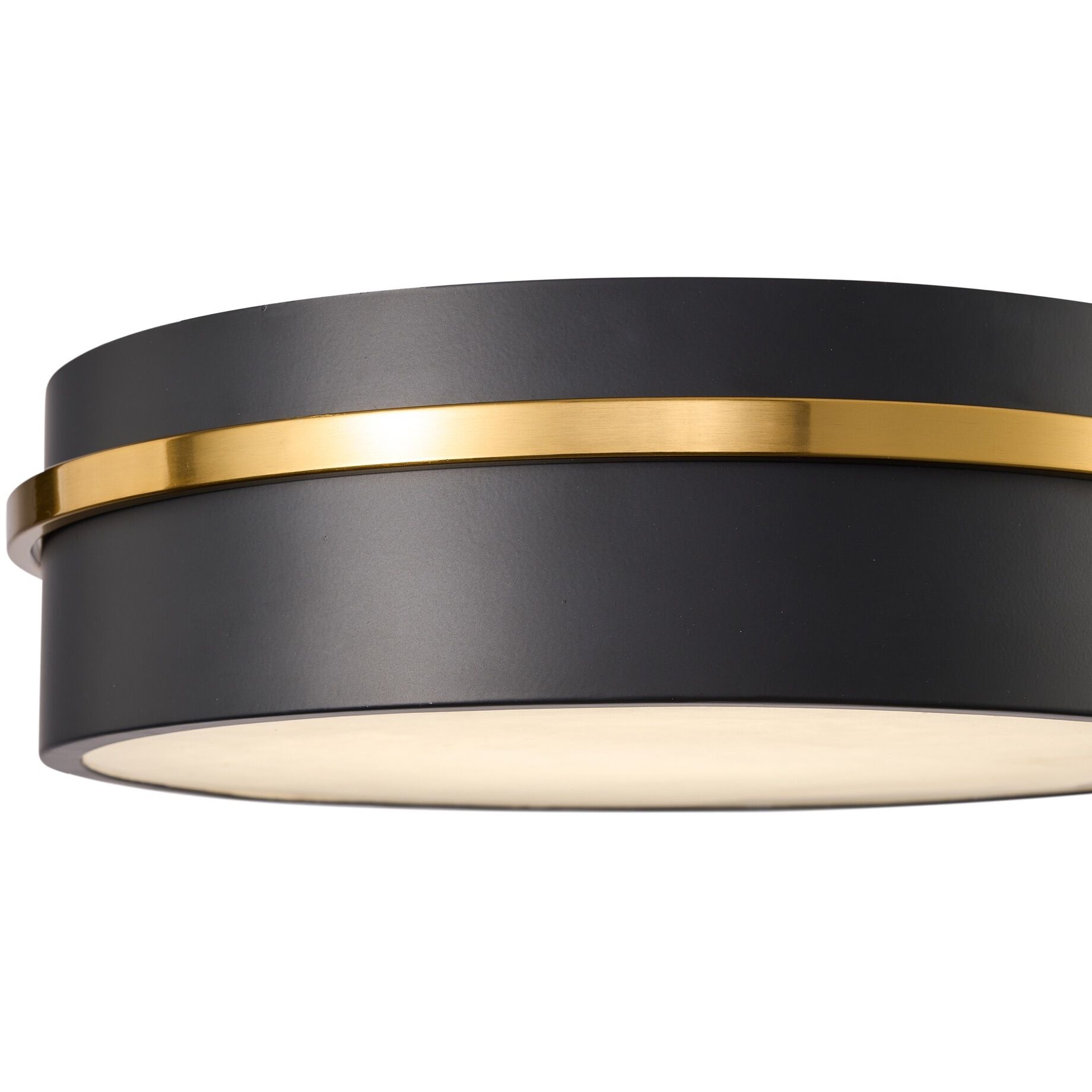 Dax LED 12 inch Black and Brass Flush Mount Ceiling Light