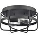 Gael 2 Light 10 inch Matte Black Flush Mount Ceiling Light