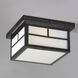 Coldwater 2 Light 9 inch Black Outdoor Flush Mount in White