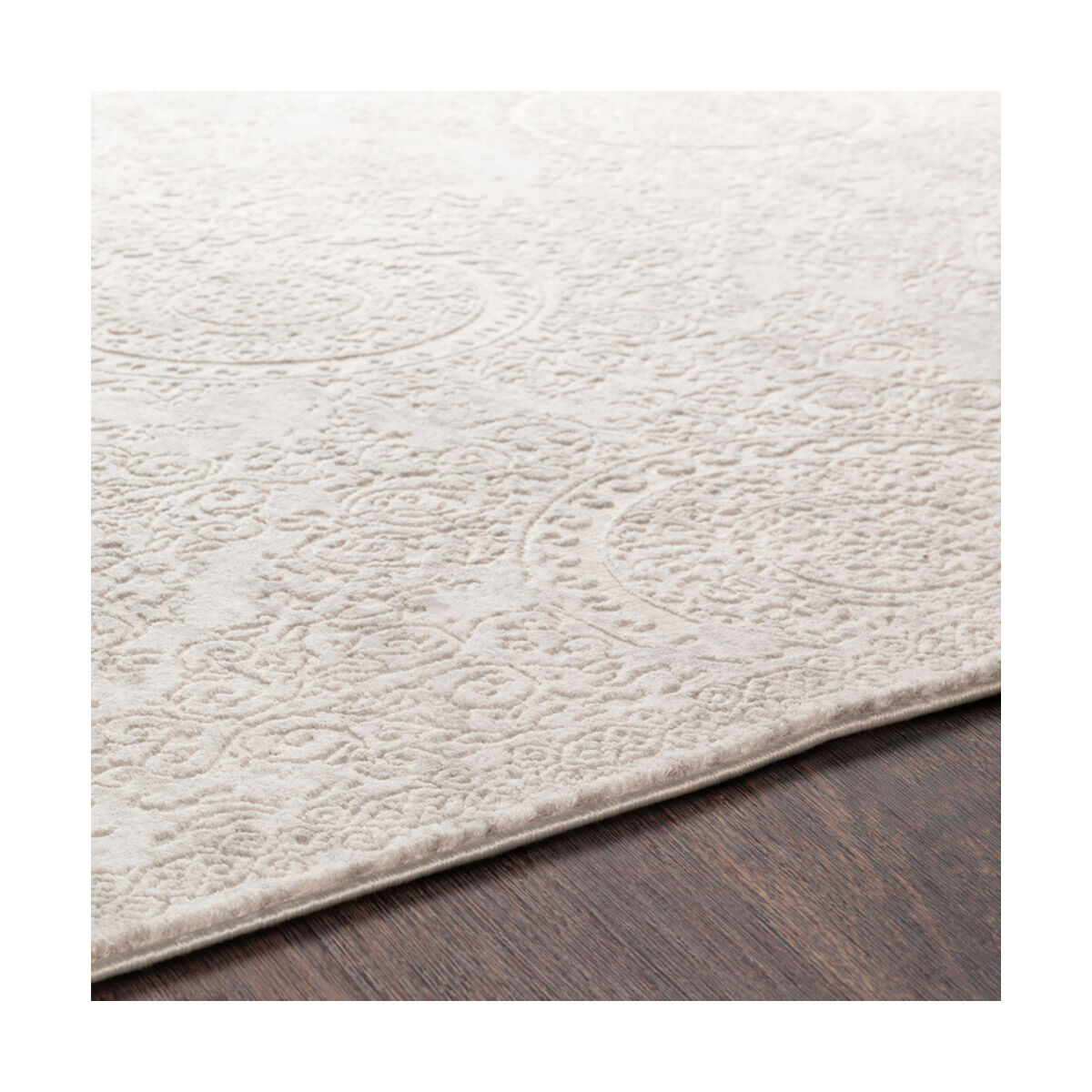 Ainsley 36 X 24 inch Light Gray Rug, Rectangle