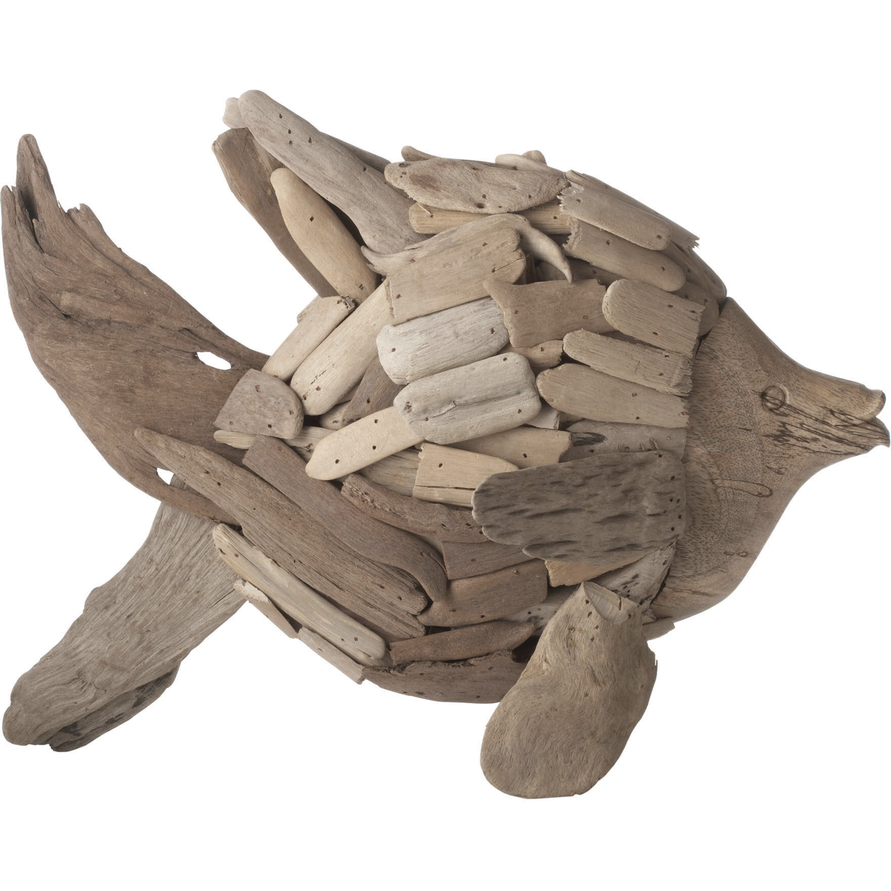 Angel Fish Natural Decorative Object