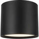 Uma 12 inch Black Semi-Flush Mount Ceiling Light