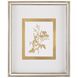 Botanicals VI Golden Wall Decor, Giclees