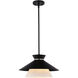 Loomis 1 Light 15.25 inch Matte Black Pendant Ceiling Light