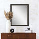 843 Mirror Group 33 X 27 inch Brown and Metallic Wall Mirror