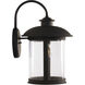 O'Fallon 1 Light 19 inch Dark Bronze Gilded Outdoor Wall Mount