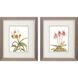 Florals Collection Pink Framed Art