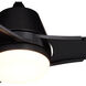 Crescent 22 inch Black with Black-Walnut Blades Ceiling Fan