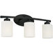 Dixon 3 Light 20.50 inch Bathroom Vanity Light