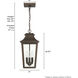 Spring Cove 3 Light 8 inch Matte Bronze Outdoor Pendant, Large