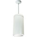 Line Voltage LED White with White and White Pendant Mount Cylinder Ceiling Light in 1800