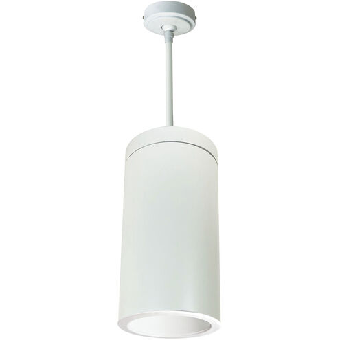 Line Voltage LED White with White and White Pendant Mount Cylinder Ceiling Light in 1800