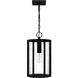 Hazel 1 Light 9 inch Earth Black Outdoor Hanging Lantern