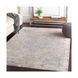 Ademaro 35 X 24 inch Taupe/White/Medium Gray Rugs, Rectangle