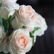 Real Touch Cream Stems
