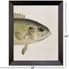 Paragon Multi and Beige and Green and Red Framed Art