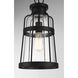 Quinton 1 Light 8.5 inch Matte Black Outdoor Hanging Lantern, Lighting One