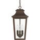 Spring Cove 3 Light 8 inch Matte Bronze Outdoor Pendant, Large
