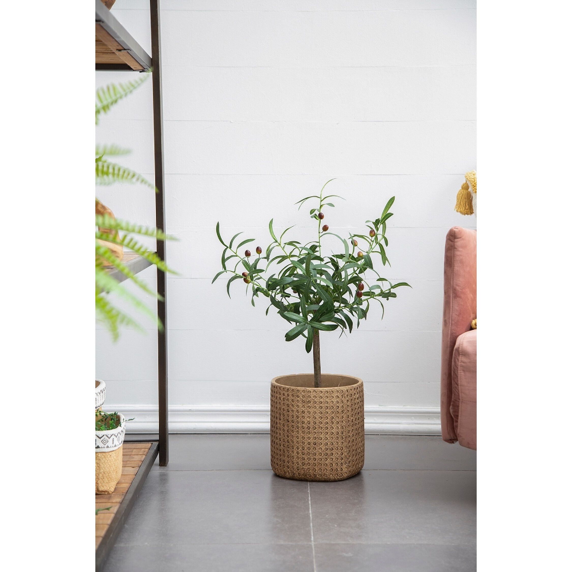 Olive Tree Green and Black Faux Plant