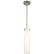 Elementum LED 4.5 inch Satin Nickel Pendant Ceiling Light in 3500K, dweLED