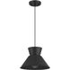 Mid-Century Modern 1 Light 12 inch Matte Black Pendant Ceiling Light
