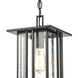 Radnor 1 Light 8 inch Matte Black Outdoor Pendant