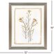 Propac Beige and Neutral and White and Green Framed Art, Propac