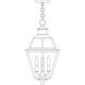 Inverness 3 Light 10.25 inch Antique Brass Pendant Ceiling Light in Clear