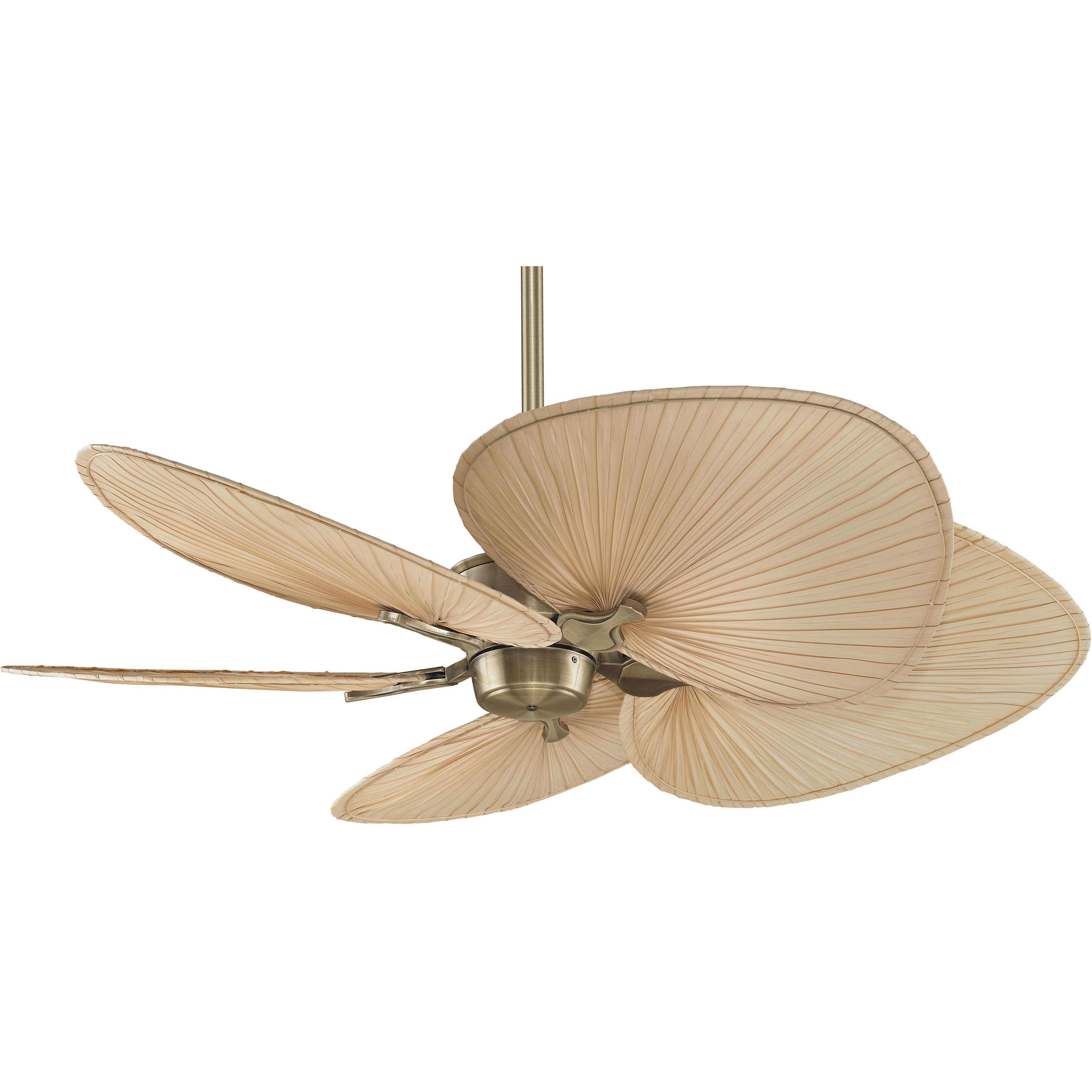 Blades Palm Natural Palm 22 inch Each Fan Blades