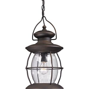 Village Lantern 1 Light 8 inch Weathered Charcoal Outdoor Pendant