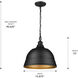Rebel 2 Light 15.88 inch Matte Black Pendant Ceiling Light