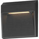 Steppes Outdoor Wall Mount