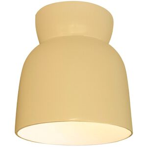 Radiance Outdoor Flush Mount