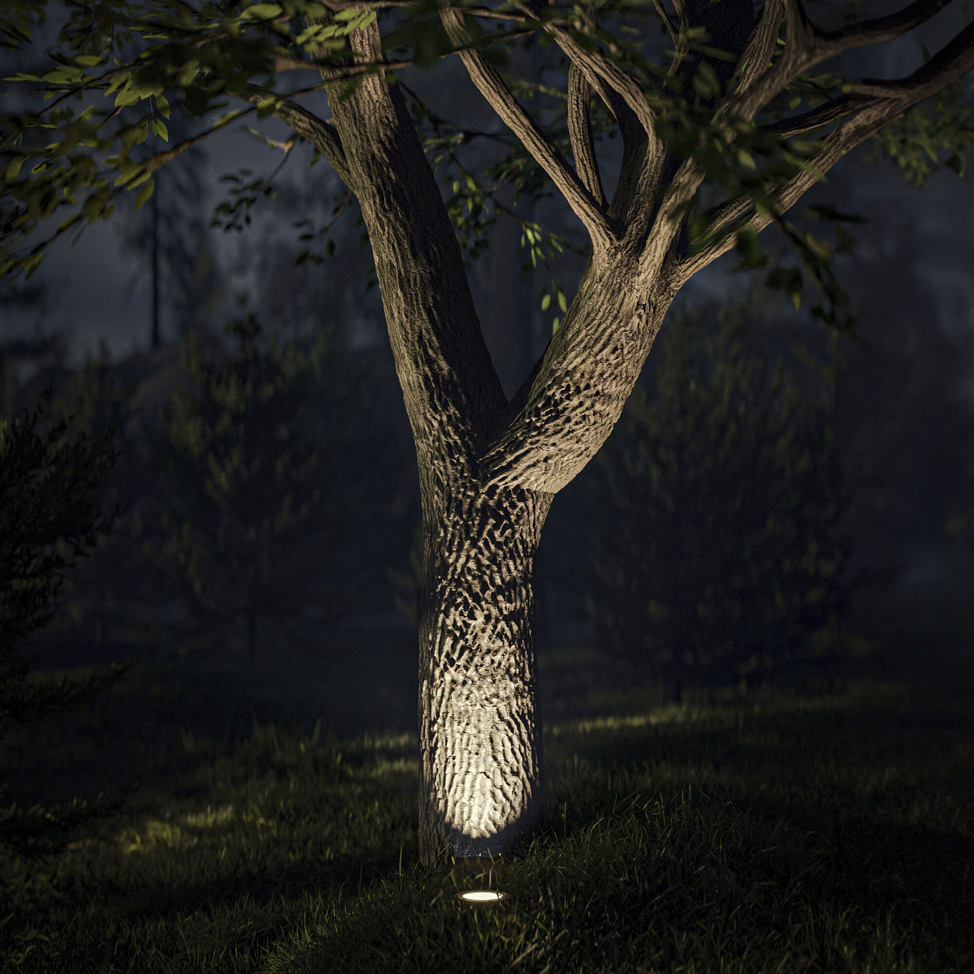 Colorscaping 12 23 watt Bronze Path Lighting