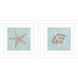Seashell Green and Blue and Turquoise Framed Art, Propac