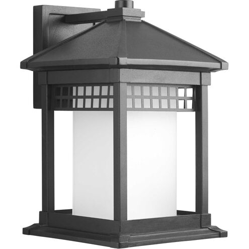 Hedwig 1 Light 16 inch Textured Black Outdoor Wall Lantern
