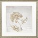 Florals Collection Gray Framed Art