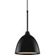 Classic LED 9.6 inch Black Large Pendant Ceiling Light