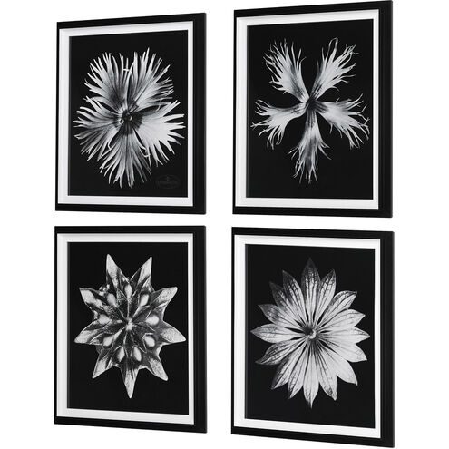 Contemporary Floret 28 X 24 inch Framed Prints, Set of 4