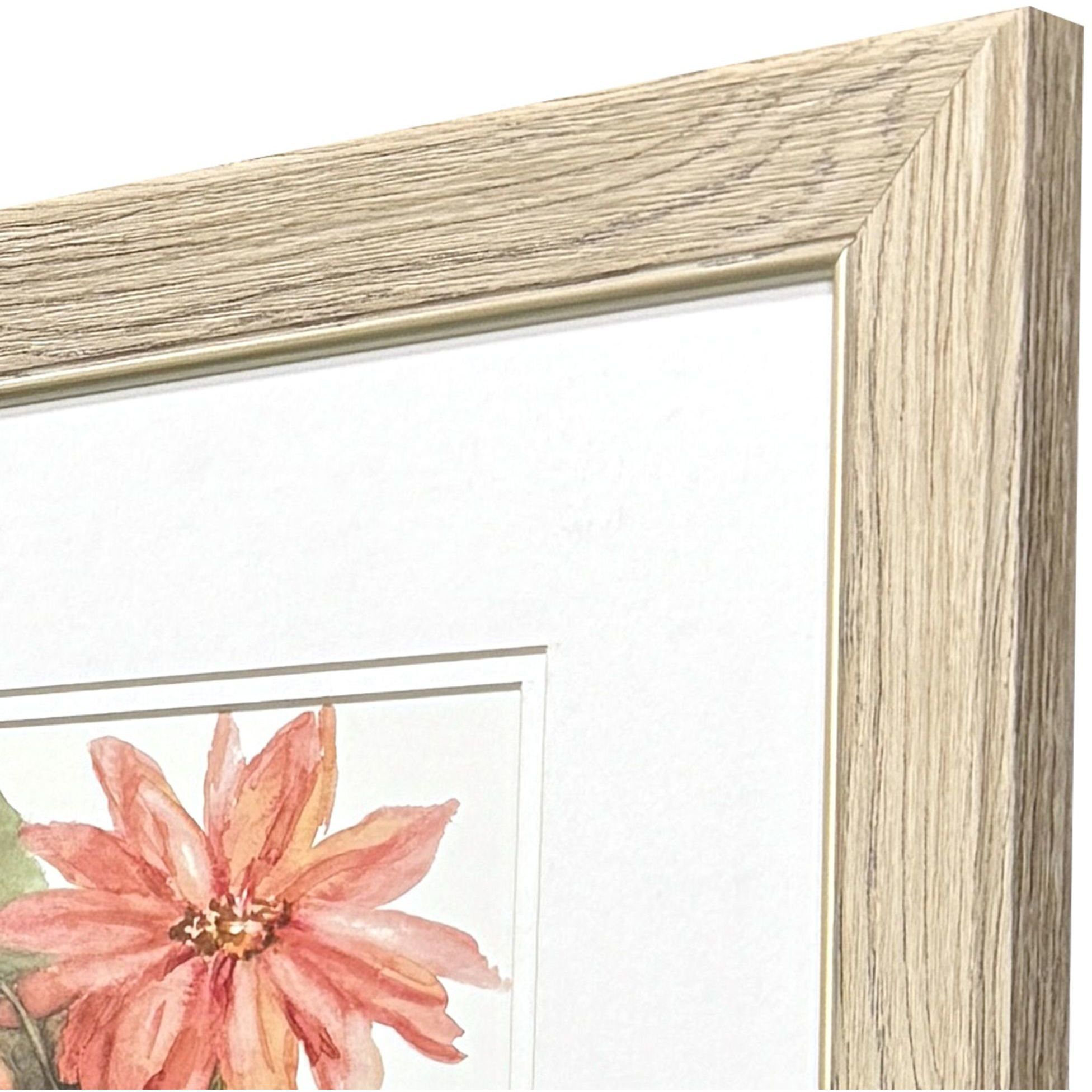 Just Peachy Pink and Orange and Multi and Green Framed Art, Propac