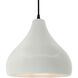Radiance LED 13.5 inch Matte White and Matte Black Pendant Ceiling Light