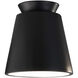 Radiance Collection 1 Light 7.5 inch Carbon Matte Black/Champagne Gold Flush-Mount Ceiling Light