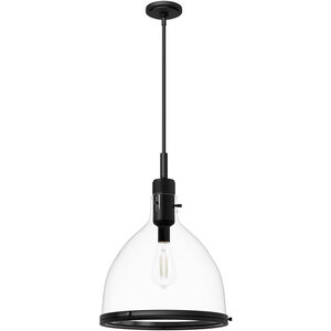 Van Nuys 1 Light 16 inch Matte Black Pendant Ceiling Light, Small