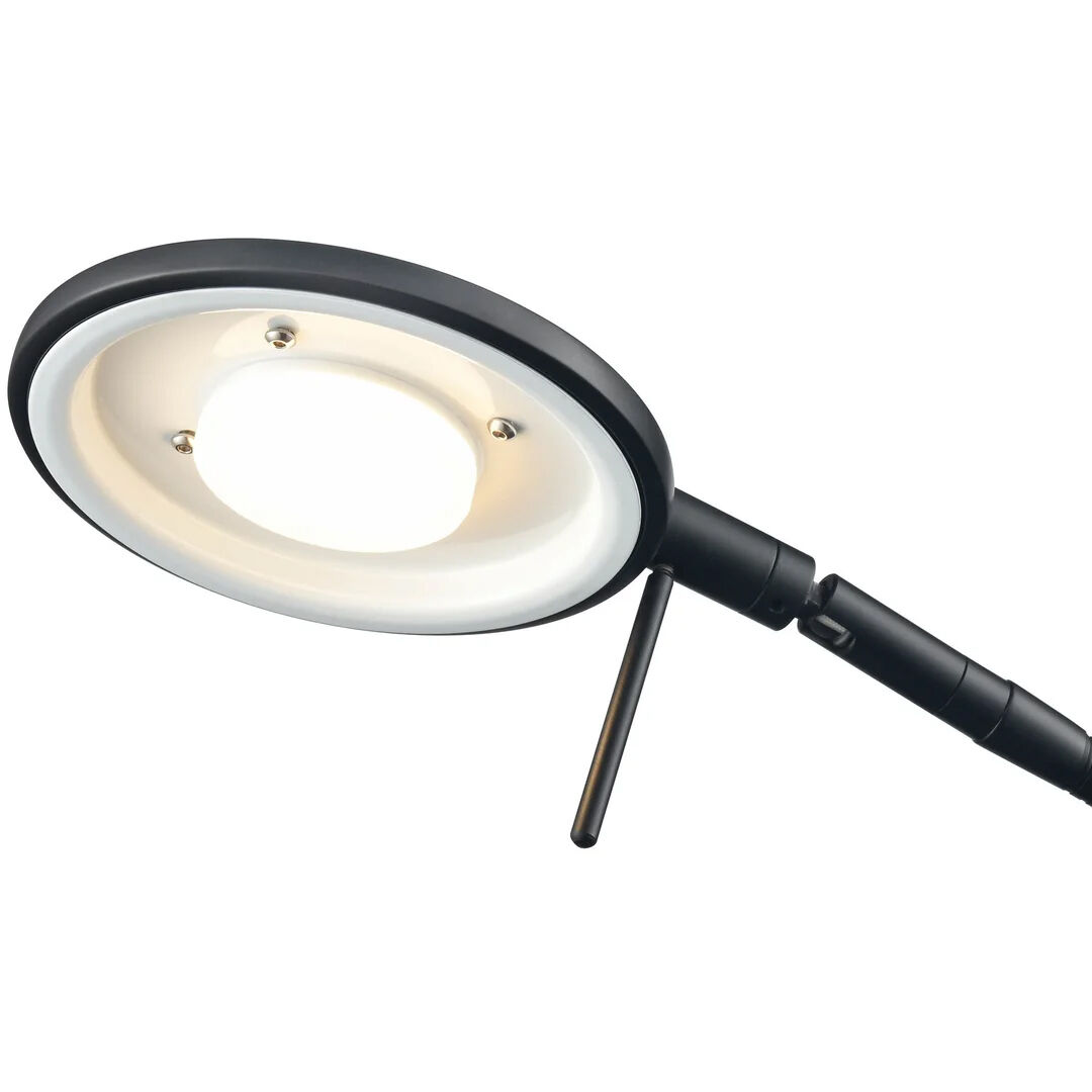 Dessau Flex 18 inch 13.00 watt Museum Black Desk Lamp Portable Light